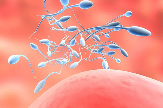 婴儿胀气母乳忌口食物(婴儿胀气母乳忌口食物)